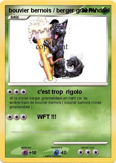 Pokemon bouvier bernois / berger groenendael