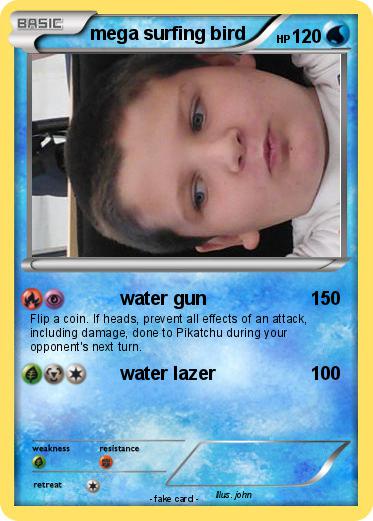 Pokemon mega surfing bird