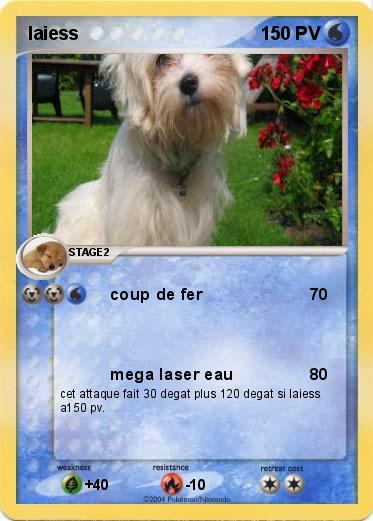 Pokemon laiess