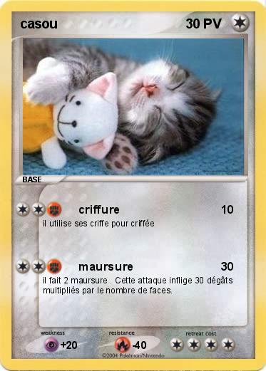 Pokemon casou