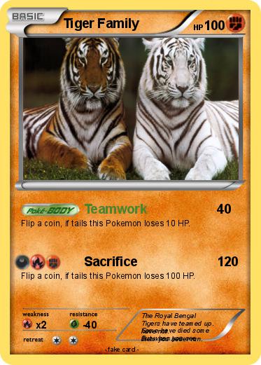 Pokemon Tiger Family