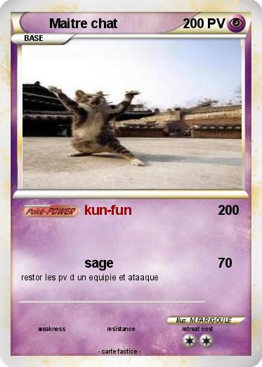 Pokemon Maitre chat