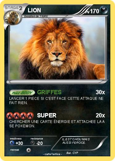 Pokemon LION