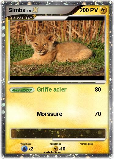 Pokemon Simba