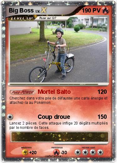 Pokemon Big Boss
