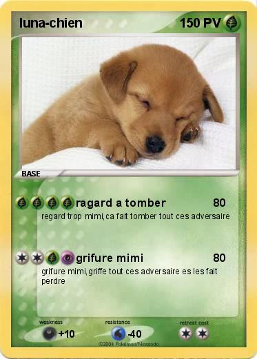 Pokemon luna-chien