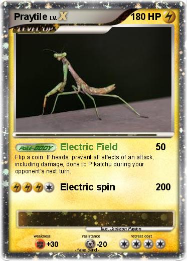 Pokemon Praytile
