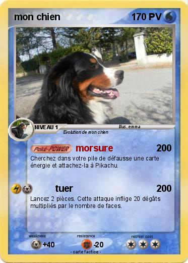 Pokemon mon chien