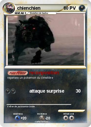 Pokemon chienchien