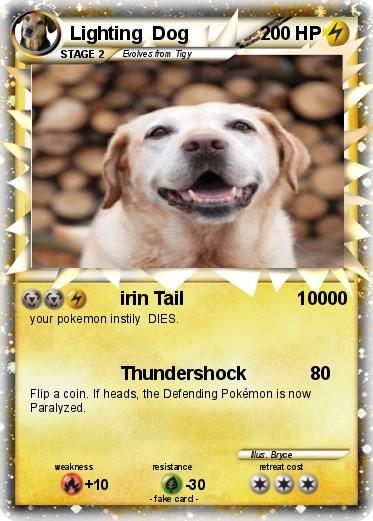 Pokemon Lighting  Dog