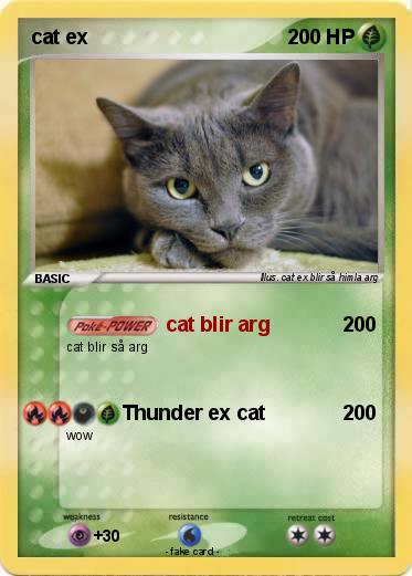 Pokemon cat ex