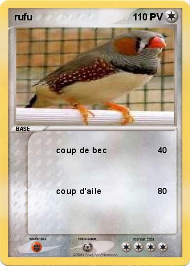 Pokemon rufu