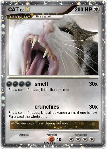 Pokemon CAT