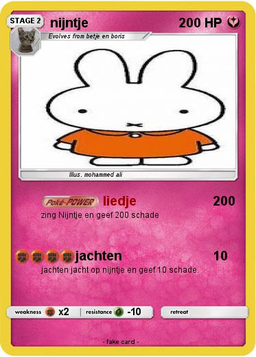 Pokemon nijntje
