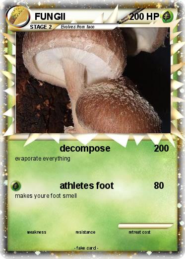 Pokemon FUNGII