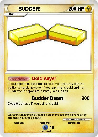Pokemon BUDDER!