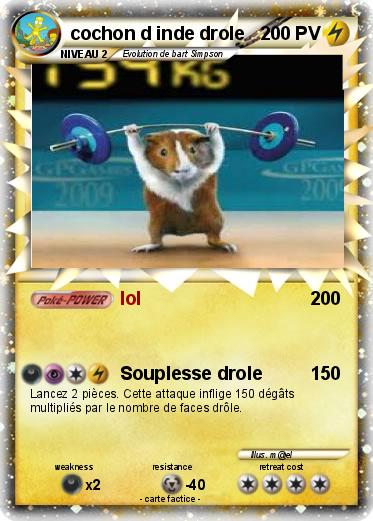 Pokemon cochon d inde drole