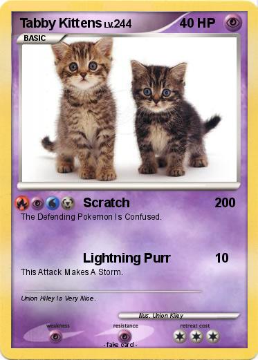 Pokemon Tabby Kittens