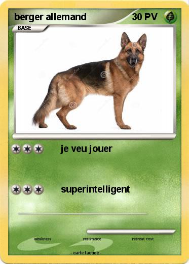 Pokemon berger allemand