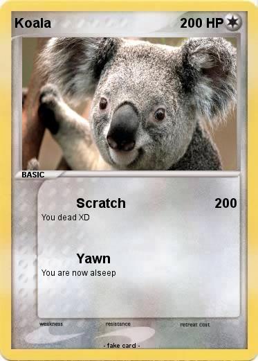 Pokemon Koala