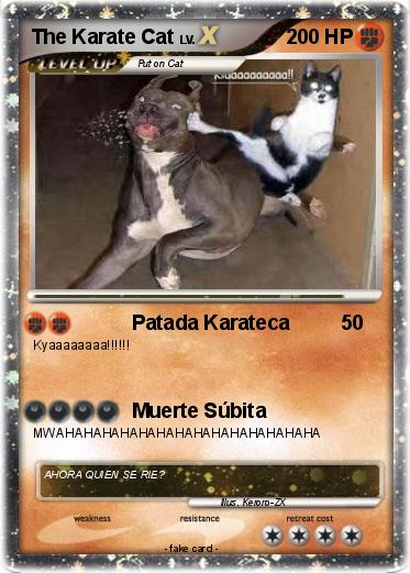 Pokemon The Karate Cat