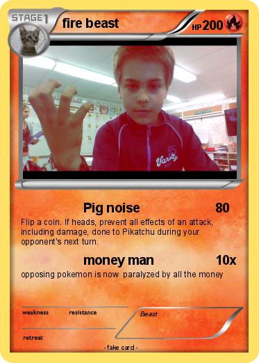 Pokemon fire beast
