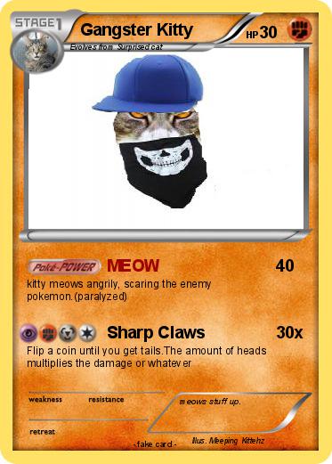 Pokemon Gangster Kitty