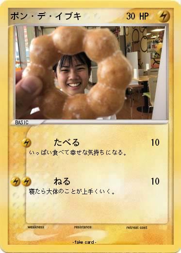 Pokemon ポン・デ・イブキ