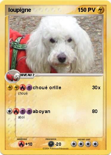 Pokemon loupigne