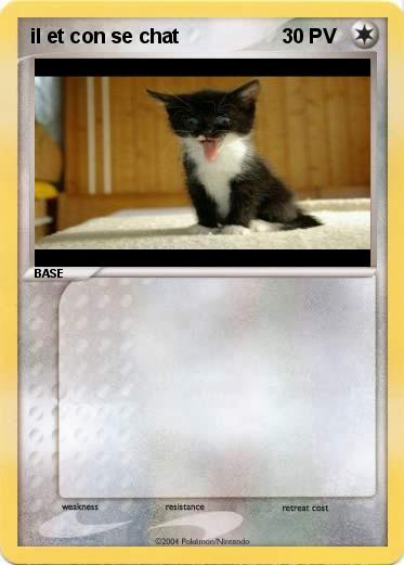 Pokemon il et con se chat