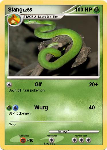 Pokemon Slang