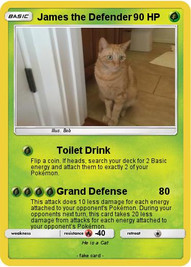 Pokemon James the Defender