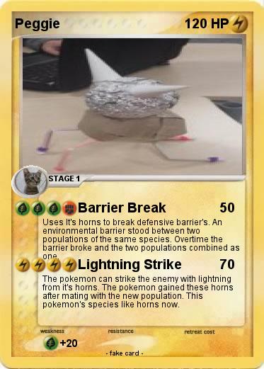 Pokemon Peggie