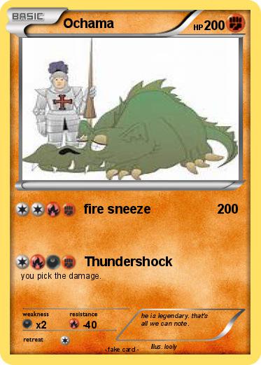 Pokemon Ochama