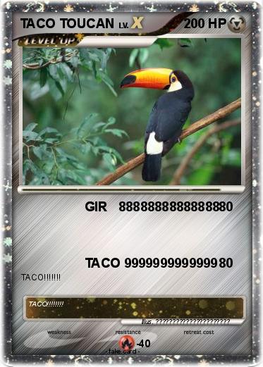 Pokemon TACO TOUCAN