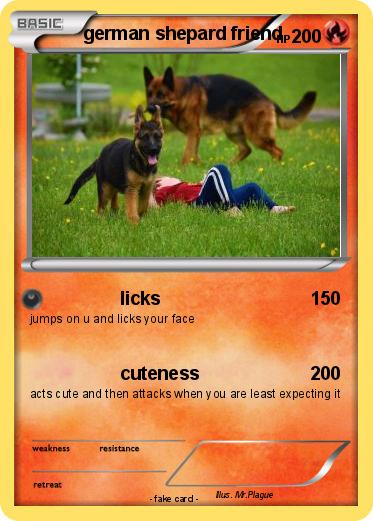 Pokemon german shepard friend