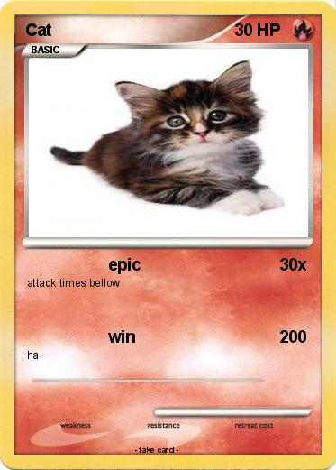 Pokemon Cat