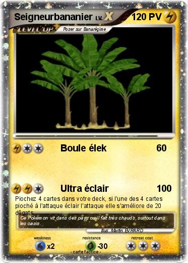 Pokemon Seigneurbananier