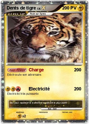 Pokemon Dents de tigre