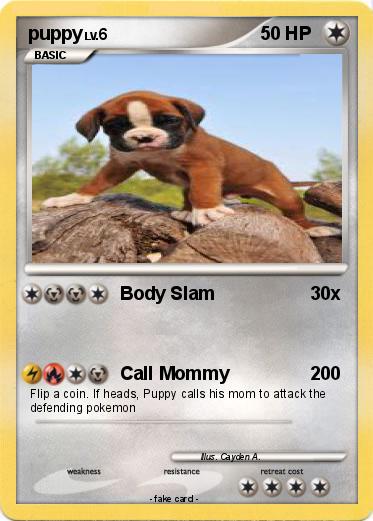 Pokemon puppy