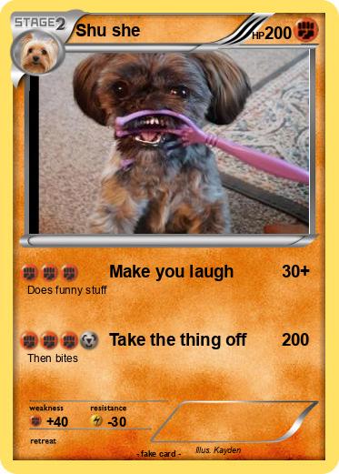 Pokemon Shu she