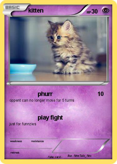 Pokemon kitten