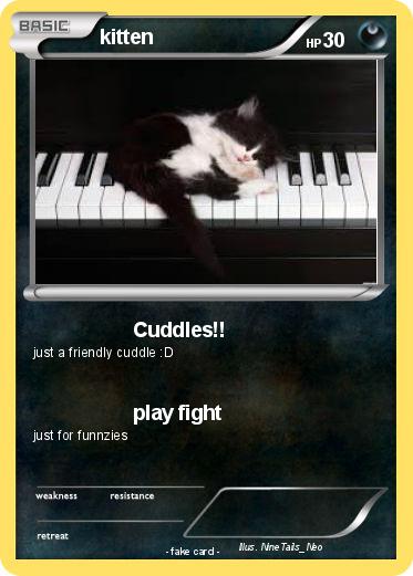 Pokemon kitten