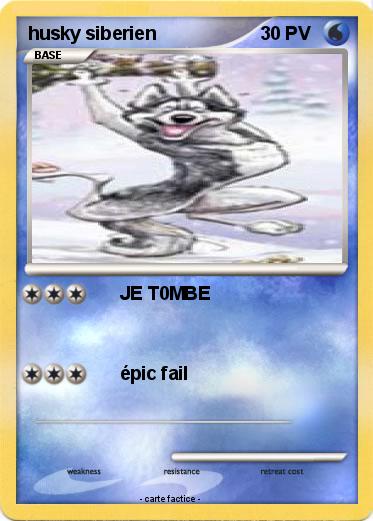 Pokemon husky siberien