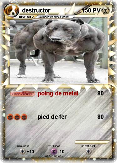 Pokemon destructor