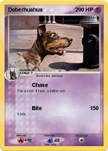 Pokemon Doberhuahua