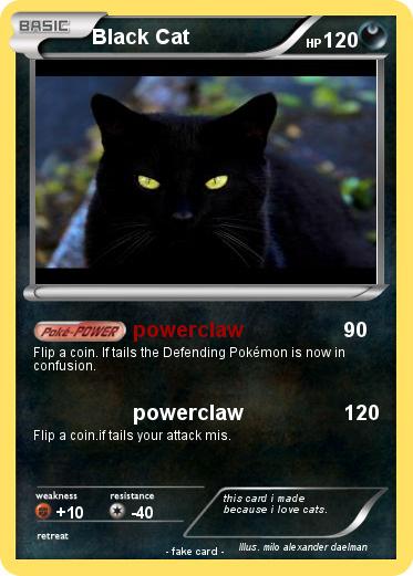 Pokemon Black Cat