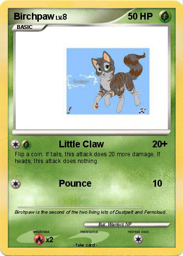 Pokemon Birchpaw