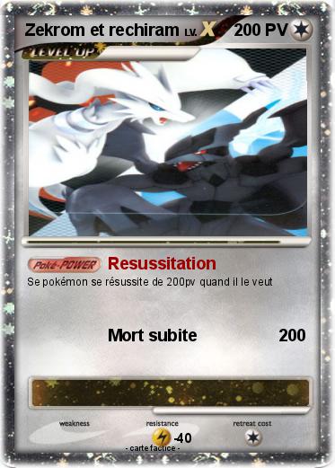 Pokemon Zekrom et rechiram