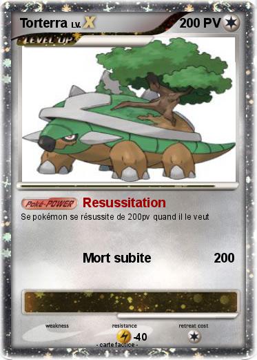 Pokemon Torterra
